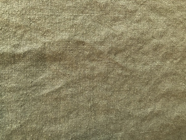 jungmaven 100 hemp canvas