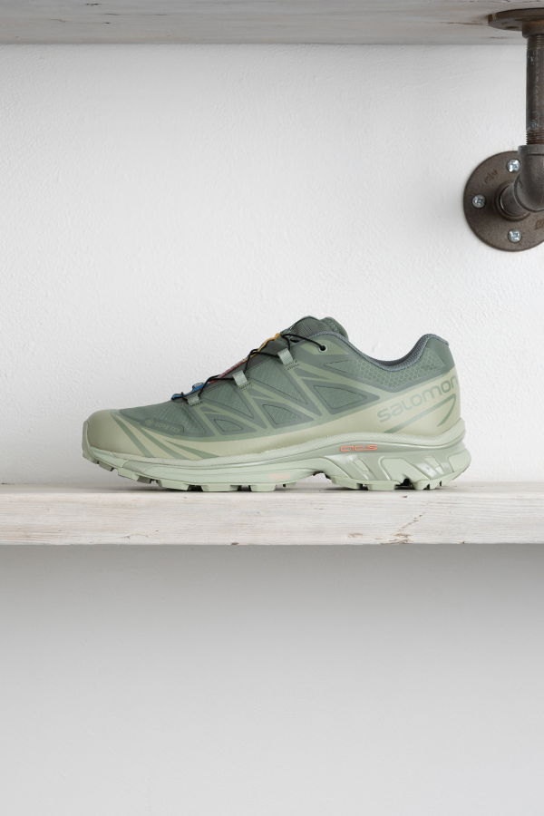 XT-6 GORE-TEX Desert Sage / Lily Pad / Laurel Wreath