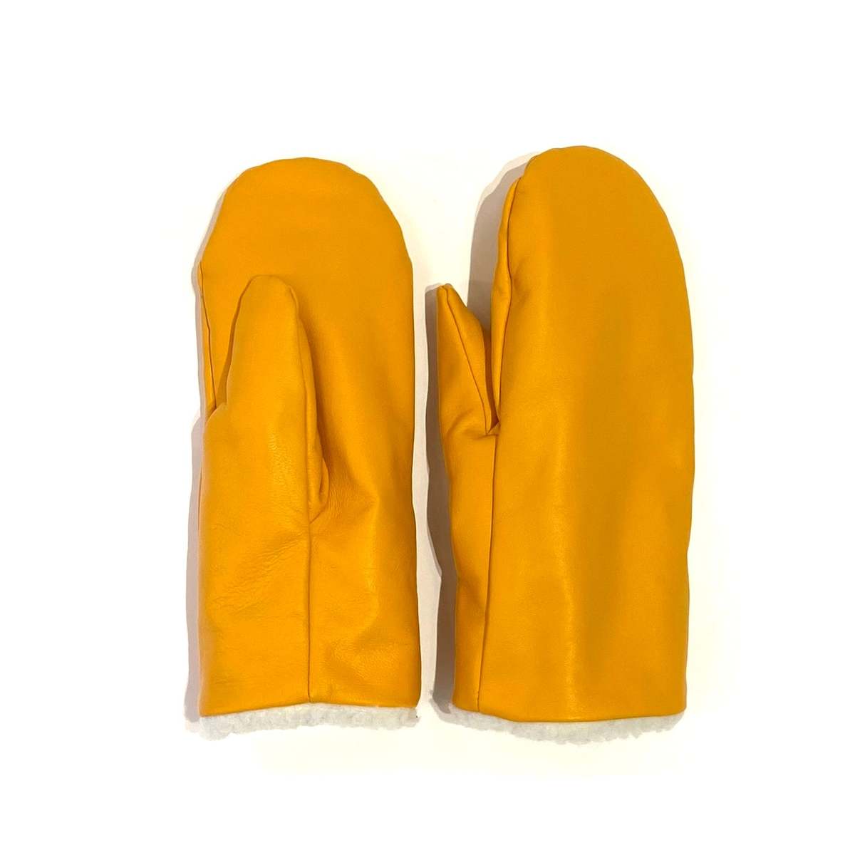 Unisex Milo and Dexter Leather Mittens - Multi - Image 1 of 5