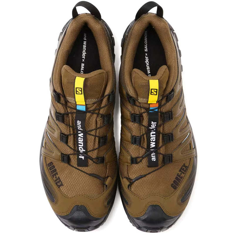 and wander XA Pro 3D Gore-Tex x SALOMON shoes - Brown | Garmentory