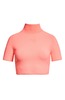 ALEXANDER WANG S/S Turtle Neck with Printed High Density Logo Turtleneck - Thumbnail 9