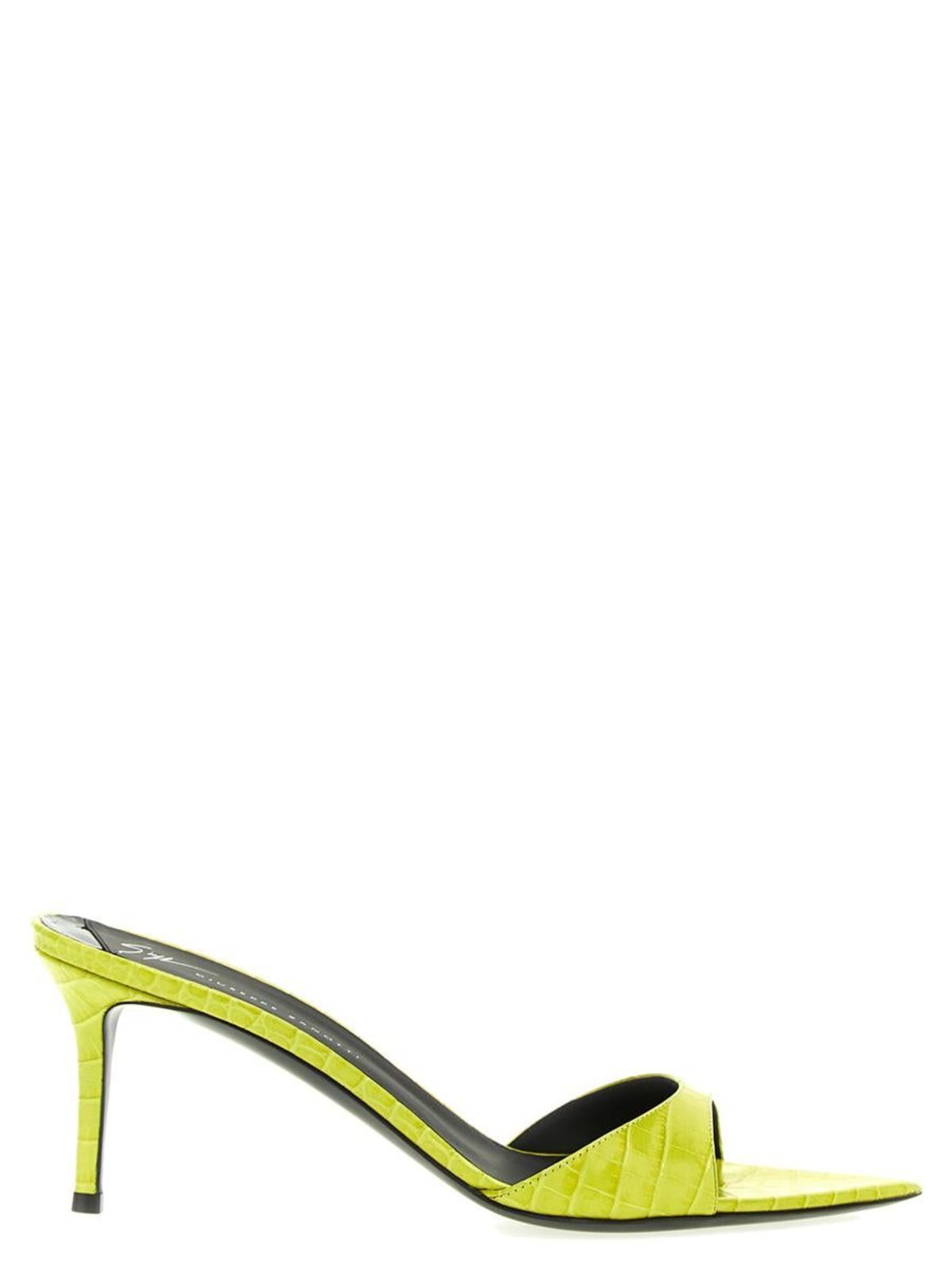 giuseppe zanotti mules