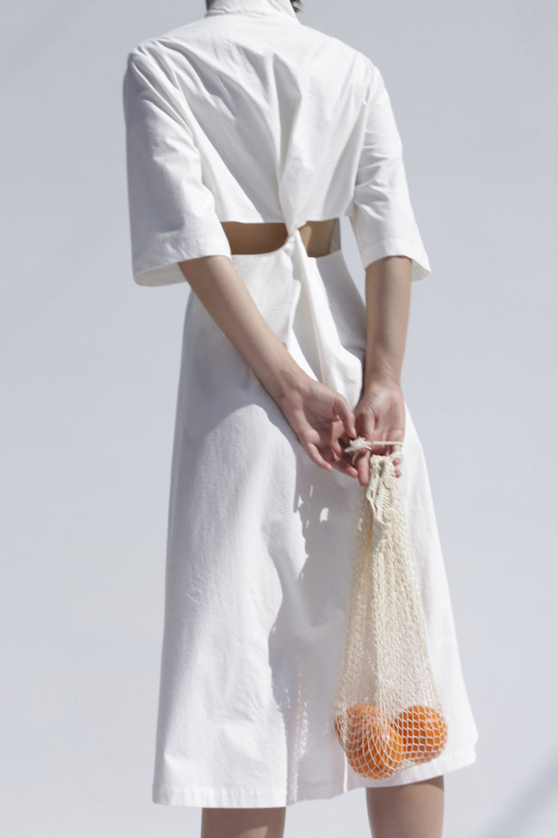 Shaina Mote Poet Dress