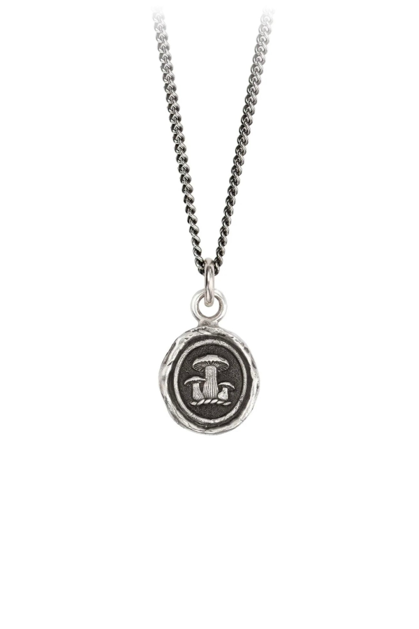 Pyrrha Earthy Appreciation Talisman Necklace - Silver