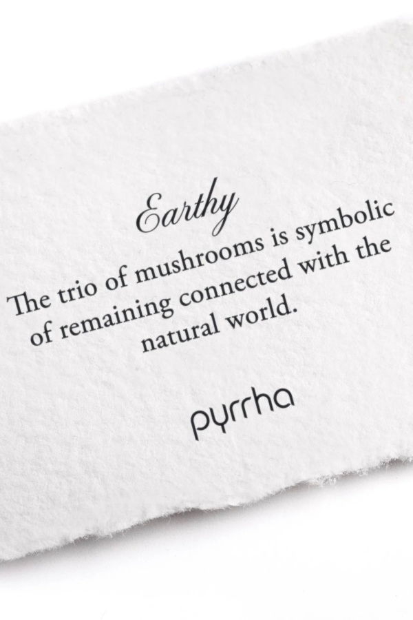 Pyrrha Earthy Appreciation Talisman Necklace - Silver