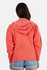 Blue&Cream Lamptons Hoodie - Red - Thumbnail 2
