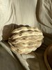 K M by L A N G E JOSEPHA MERZ CERAMIC SEED SSCULTURE - CREAM - Thumbnail 2