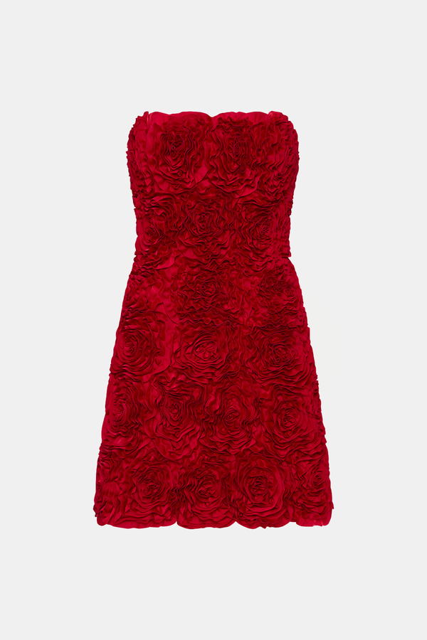Aje Gazer Rosette Mini Dress - Scarlet Red | Garmentory