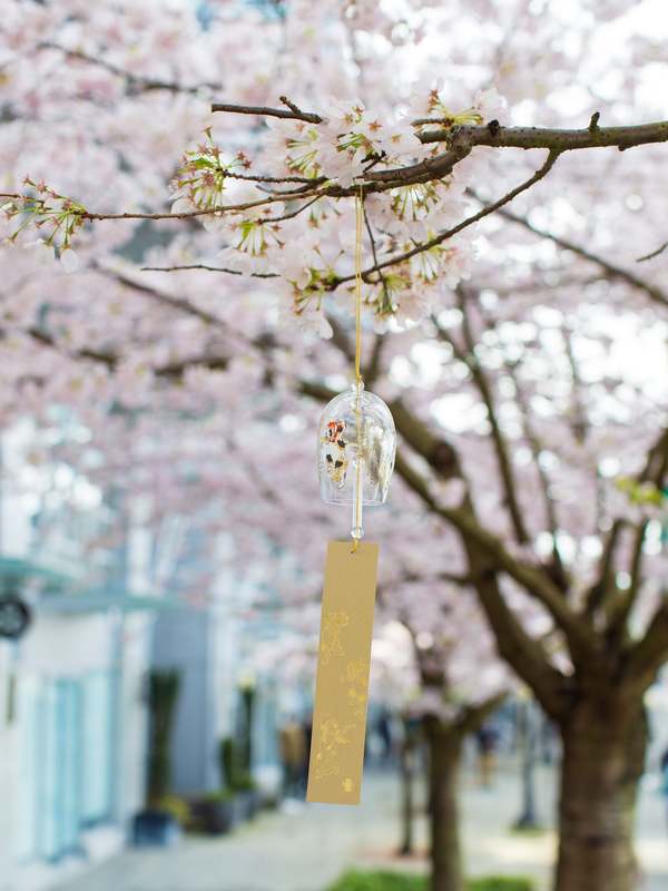 Aderia Edo Neko Windbell