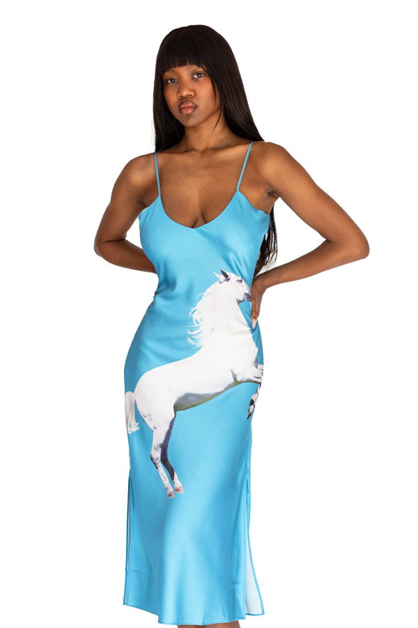 Tyler McGillivary Equestrian Dress - Blue