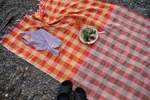 XYZ Cooperative Picnic Blanket  - Primrose - Thumbnail 2