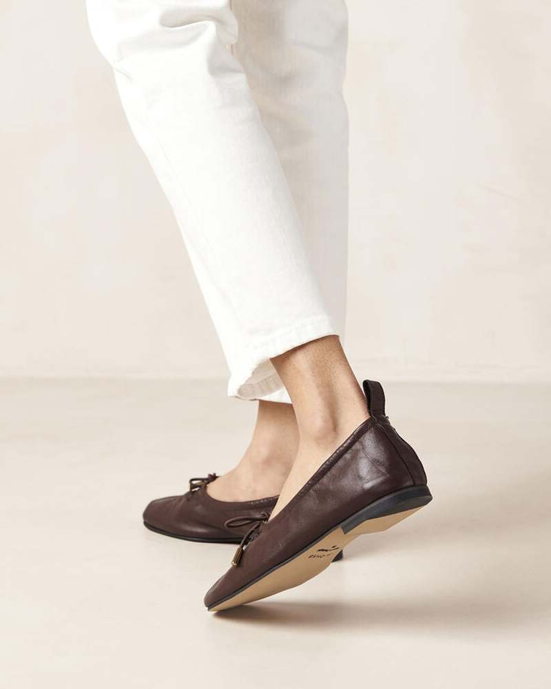 Alohas Rosalind Leather Ballet Flats - Brown | Garmentory