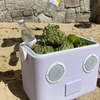 Sunnylife Beach Cooler Box Sounds Speaker - Pio Sun Pastel Lilac Purple/Cream - Thumbnail 9