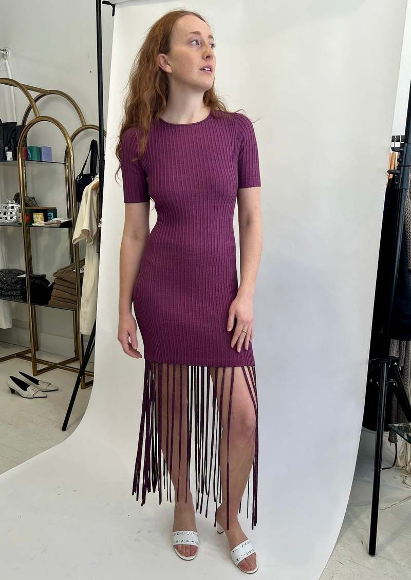 Ganni Melange Knit Fringe Short Sleeve Mini Dress - Fiji Flower Ganni Melange Knit Fringe Short Sleeve Mini Dress - Fiji Flower
