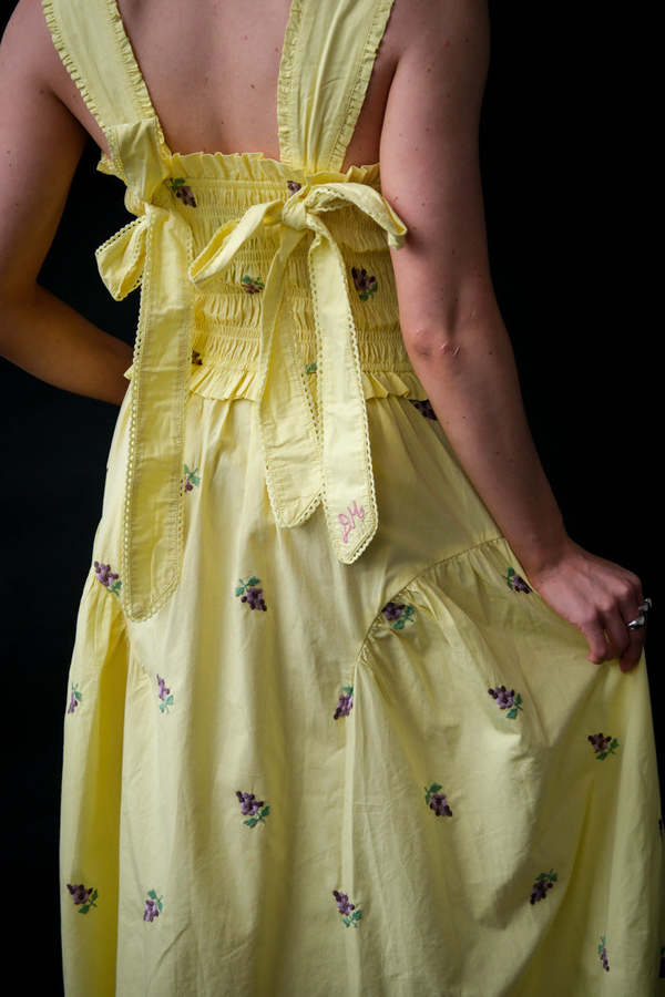 knee length dresses for ladies Delta Midi Dress Poplin Embroidered Sky Ditsy Floral