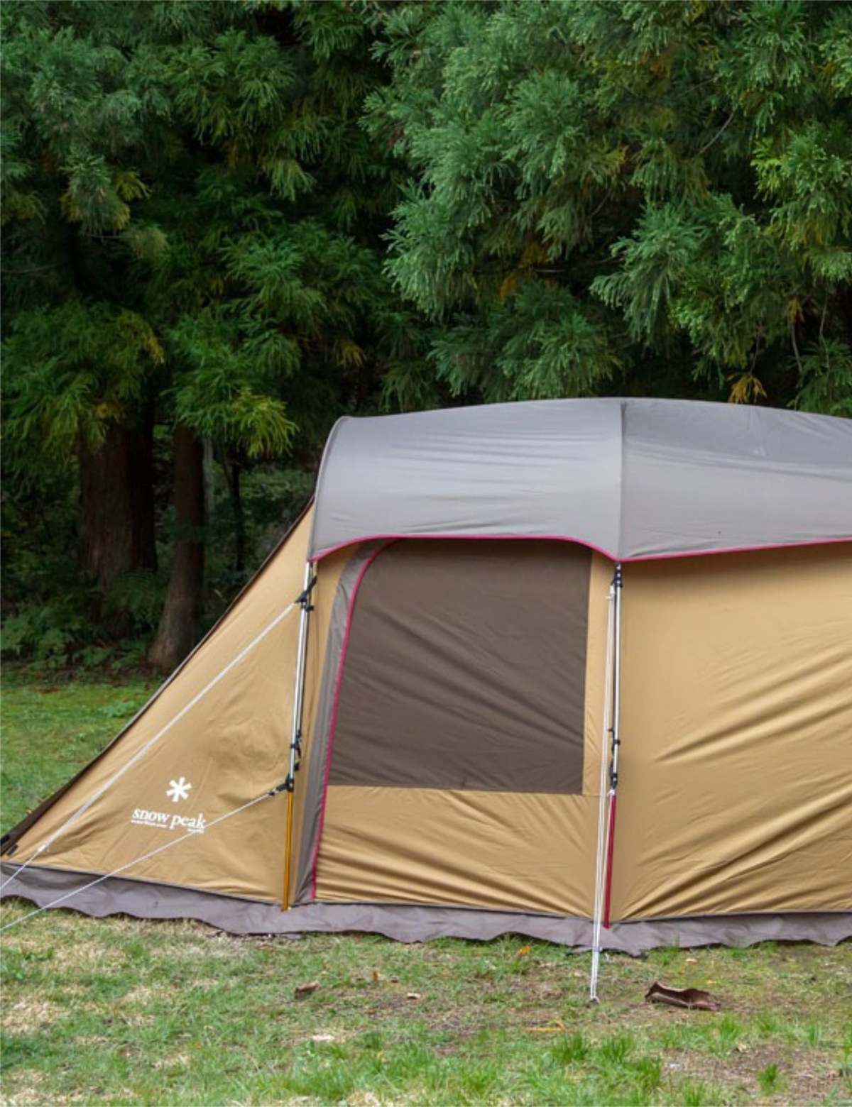 テント・タープ  peak Entry 2 Room Elfield Snow Peak Entry 2 Room Elfield Tents, Bivvys & Extensions