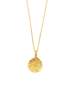 Carina Hardy LP Pendant - Gold - Thumbnail 1