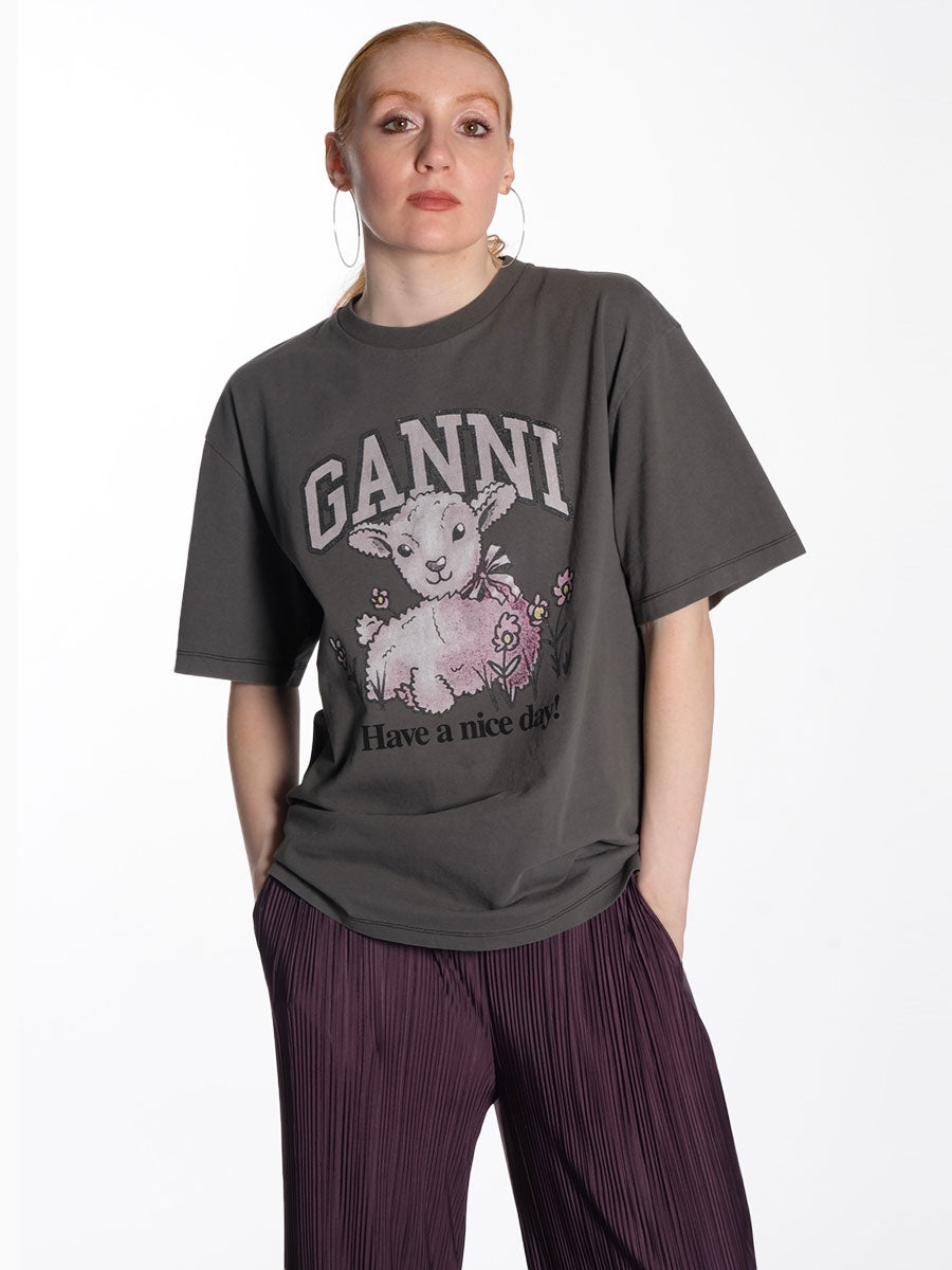 Volcanic-Ash-Grey-Future-