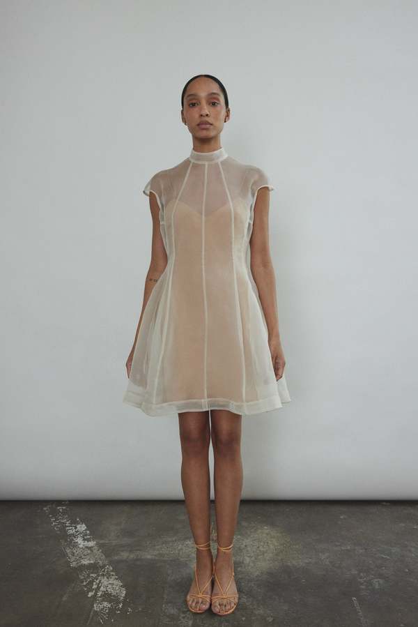 knee length dresses for ladies Savannah Sexy Mesh Dress  Shuntel Renay Boutique