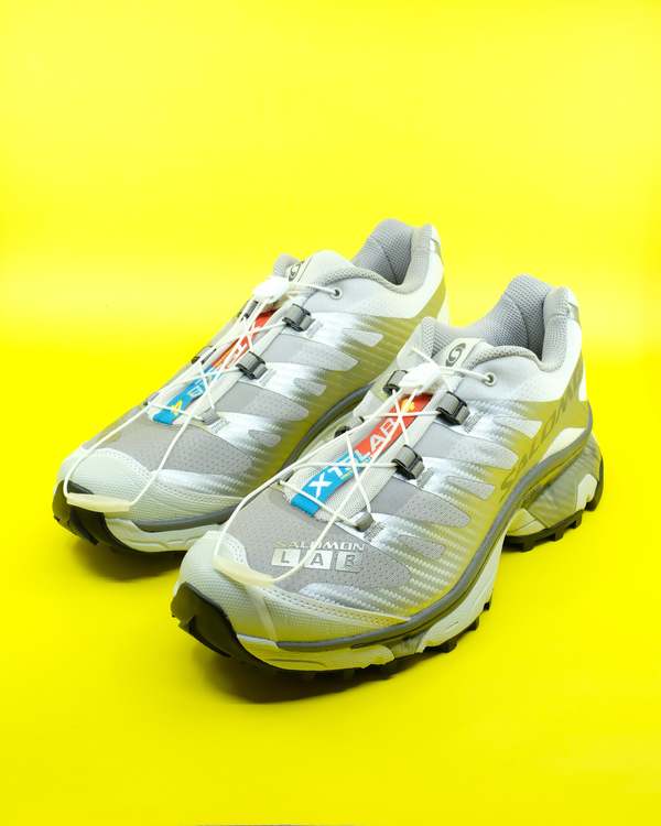 XT-4-OG-in-Sharkskin--Dawn-
