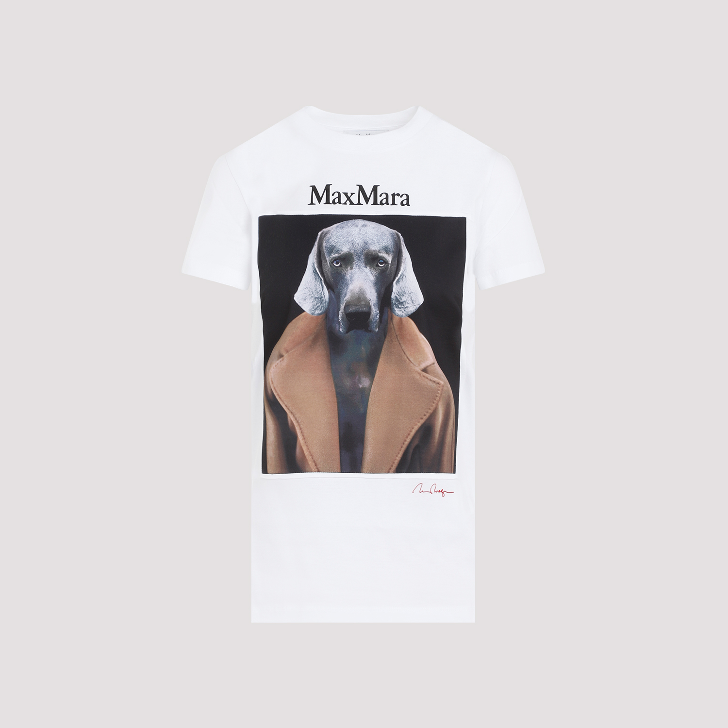 新品 正規品 MAX MARA DOG SHORT SLEEVE Tシャツ XS Max Mara Cipria Dog T Shirt - CAMMELLO | Garmentory