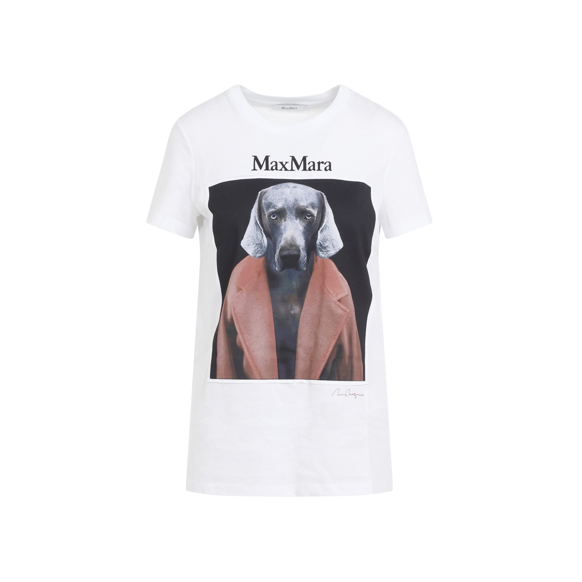Max Mara Cipria Dog T Shirt - CAMMELLO | Garmentory