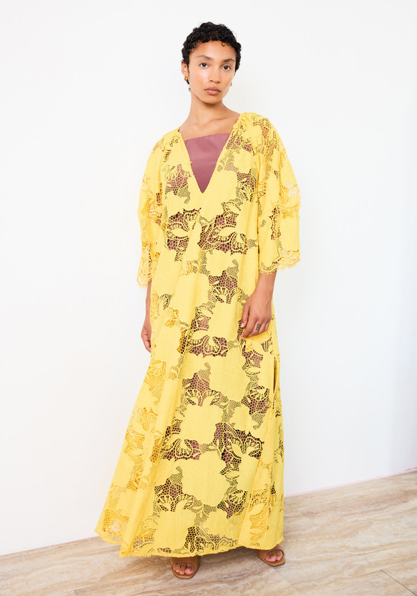 Mr Larkin Maeve Dress - Dandelion on Garmentory