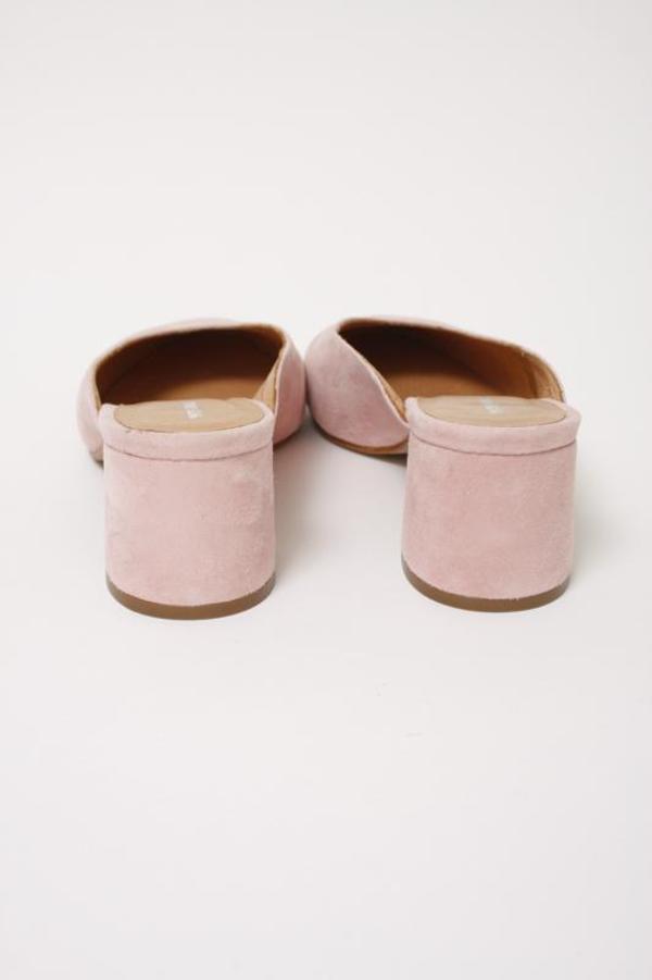 Intentionally Blank Daisy Mules Intentionally Blank Daisy Mules