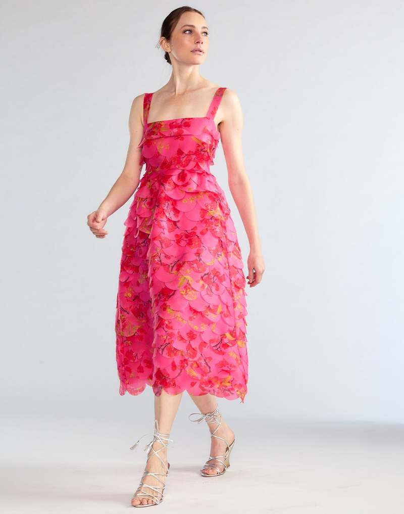 Clavell Scalloped Cotton Midi Dress
