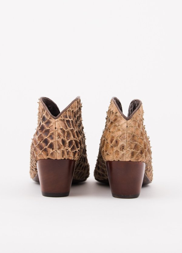 Salpy Geneva Low - Monkfish Salpy Geneva Low - Monkfish