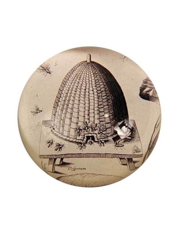 John Derian Aparium Paperweight John Derian Aparium Paperweight