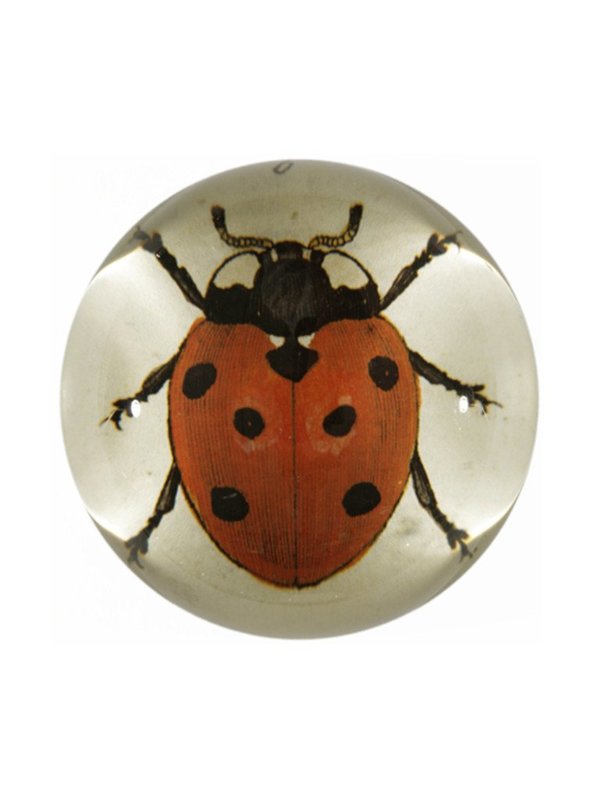 John Derian Ladybug Paperweight John Derian Ladybug Paperweight