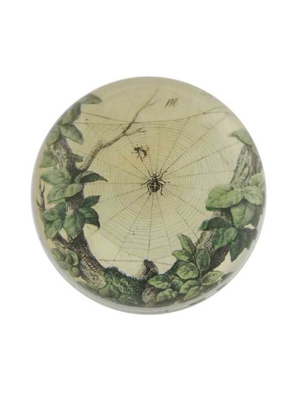 John Derian Leafy Web Paperweight John Derian Leafy Web Paperweight