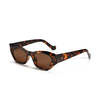 Beyond Stranger The Casablanca Sunglasses - Thumbnail 3