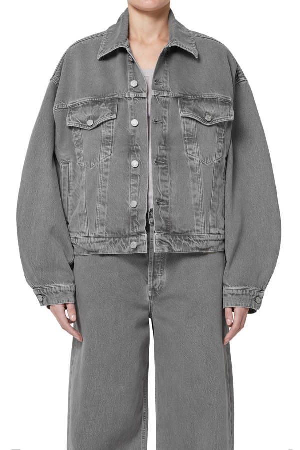AGOLDE Dalton Balloon Jacket - Dollar | Garmentory