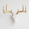Near and Deer Skull with Gold Antlers Wall Art - Thumbnail 1