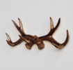 Near and Deer Resin Antler Hook - Bronze/White - Thumbnail 2
