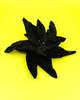 Black Velvet Poinsettia Brooch - Thumbnail 3
