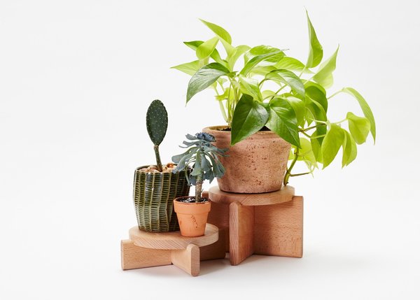 Areaware Plant Pedestal - Thumbnail 5