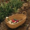 Will & Atlas Harvest Oval Tray Baskets - Thumbnail 2