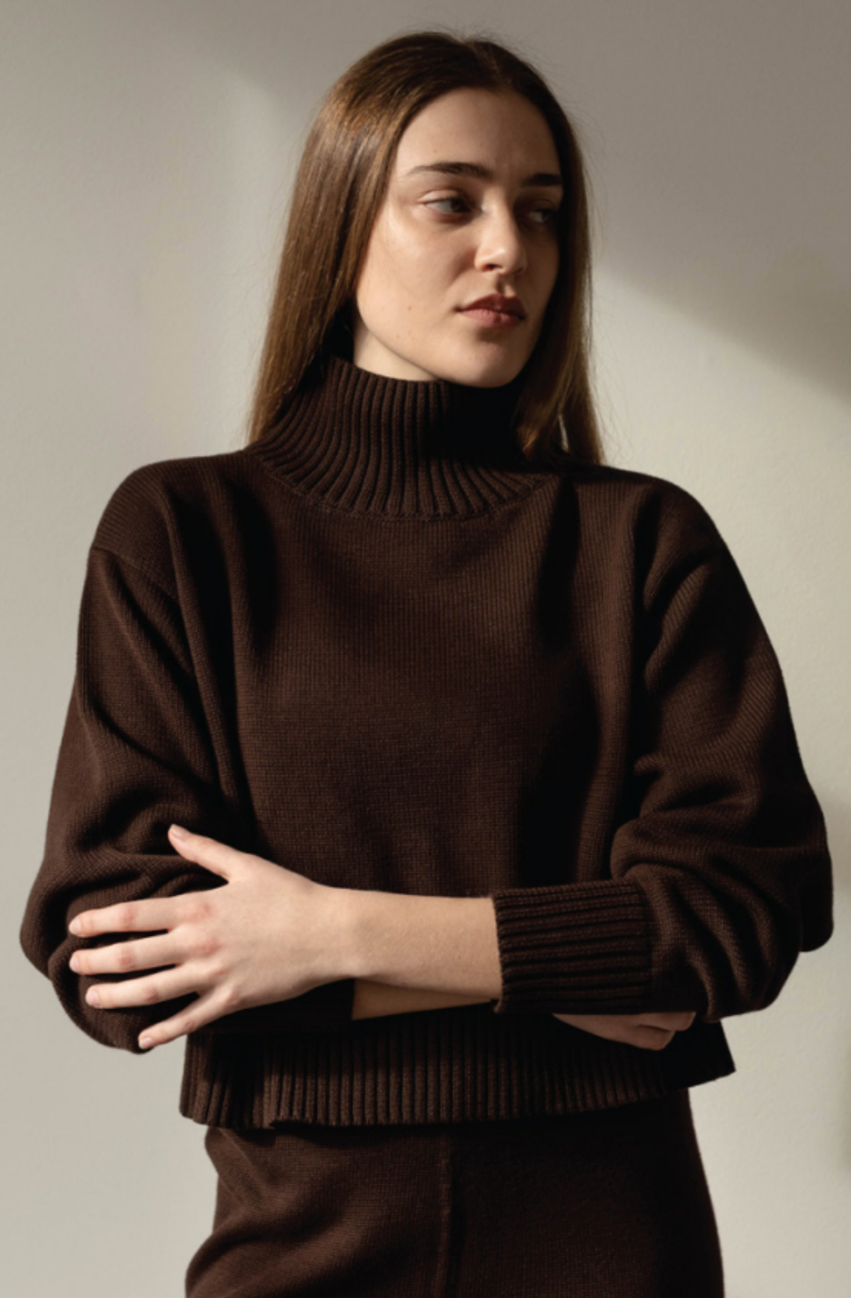 First Rite Crop Turtleneck - Walnut | Garmentory