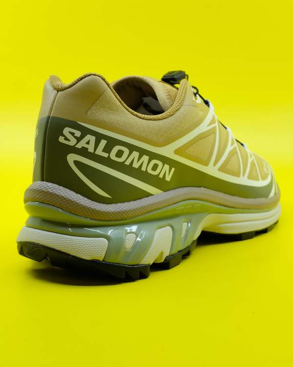 SALOMON XT 6 GTX shoe - Antelope/Icicle/Portabella | Garmentory