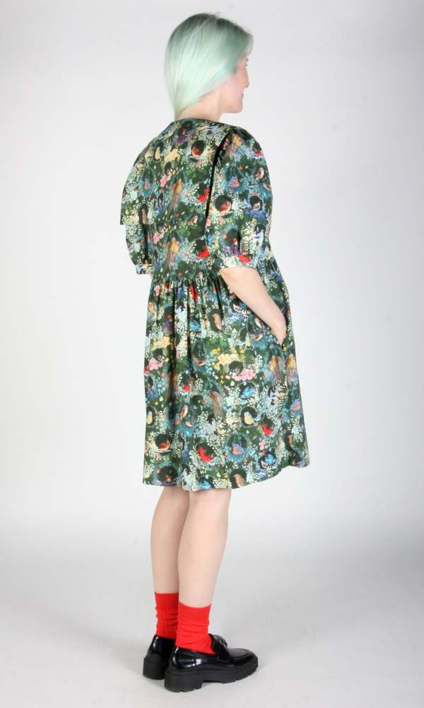 Curated visual reference: Birds Of North America Fieldfare Dress Aviary Photo Inspiration