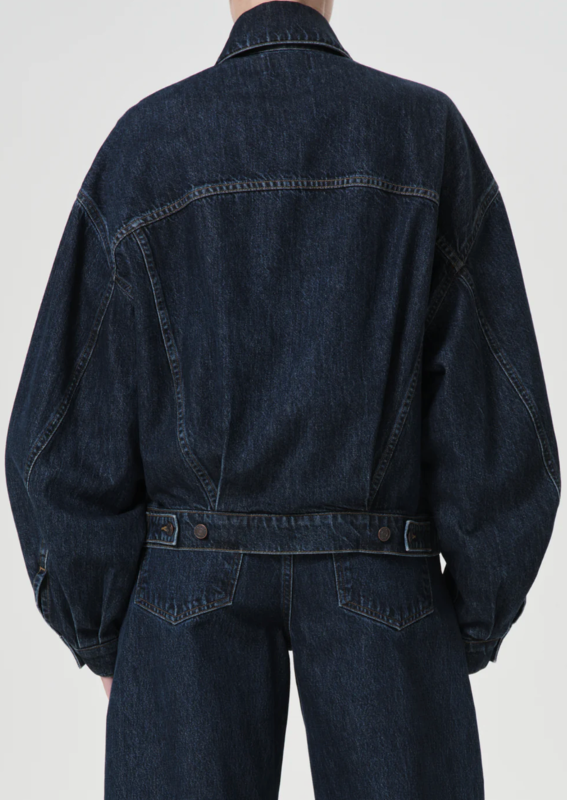 【送料&関税込】AGOLDE dalton Blue Jacket With Classic Colla AGOLDE Dalton denim jacket | NET-A-PORTER