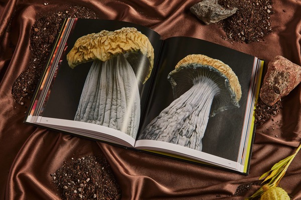 "Spores: Magical Mushroom Photography" by Broccoli Book "Spores: Magical Mushroom Photography" by Broccoli Book