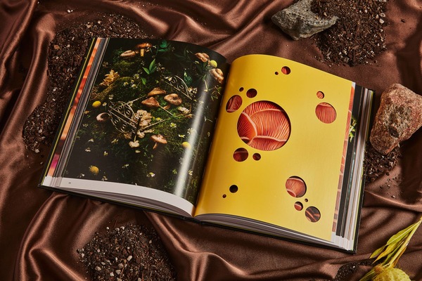 "Spores: Magical Mushroom Photography" by Broccoli Book "Spores: Magical Mushroom Photography" by Broccoli Book