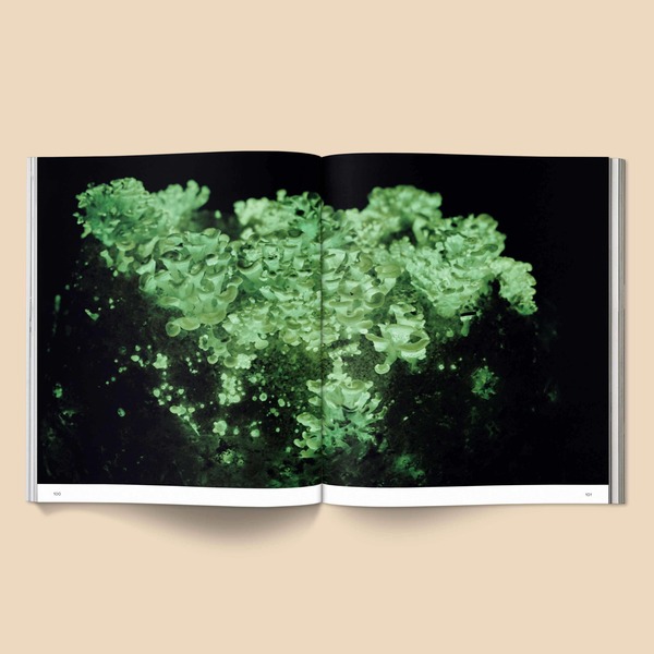 "Spores: Magical Mushroom Photography" by Broccoli Book "Spores: Magical Mushroom Photography" by Broccoli Book