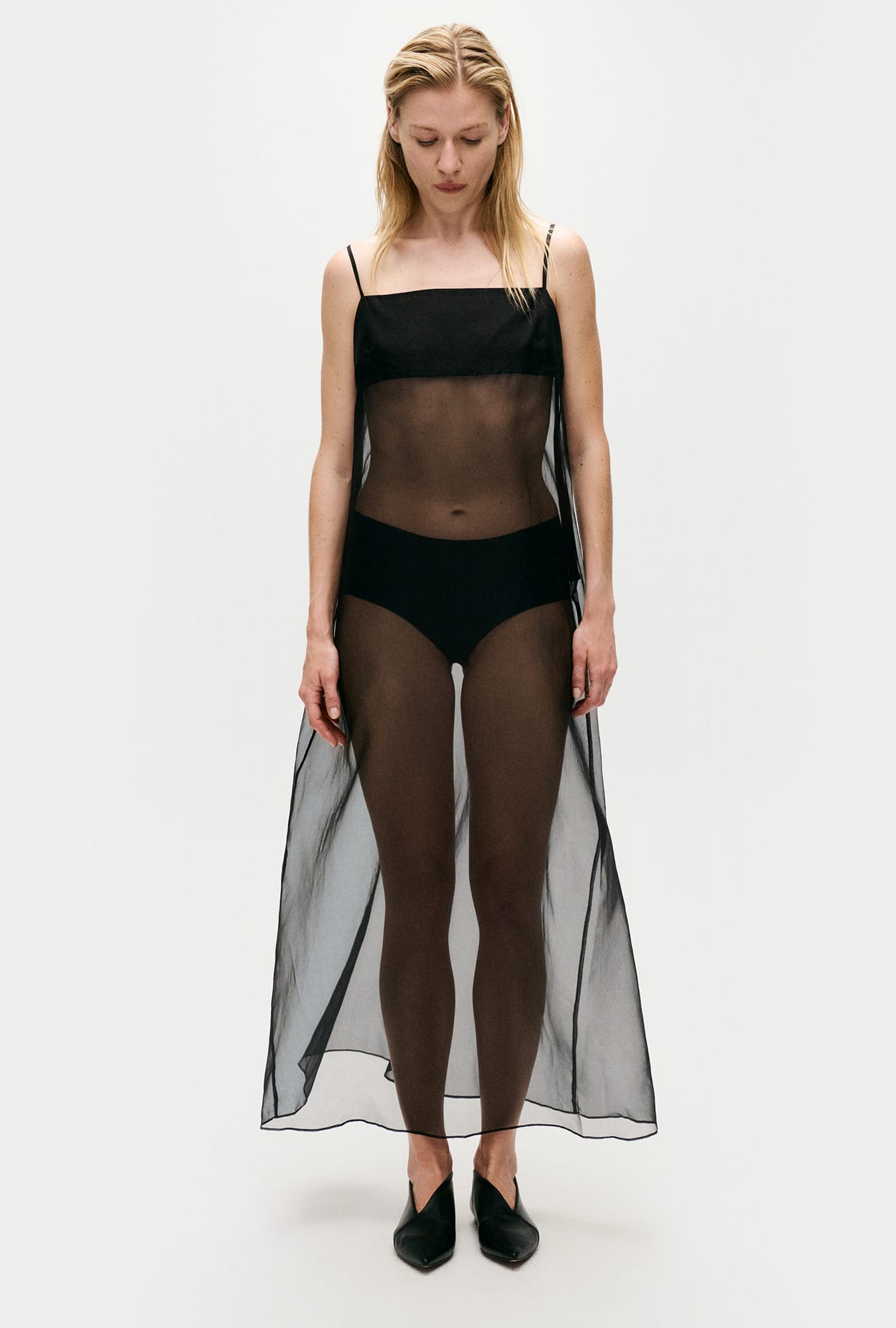 Silk Laundry Organza A-Line Dress - Black | Garmentory