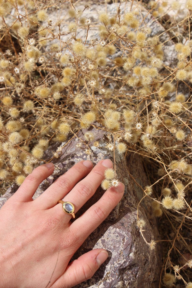 Mondo Mondo Palatial Ring - Brass