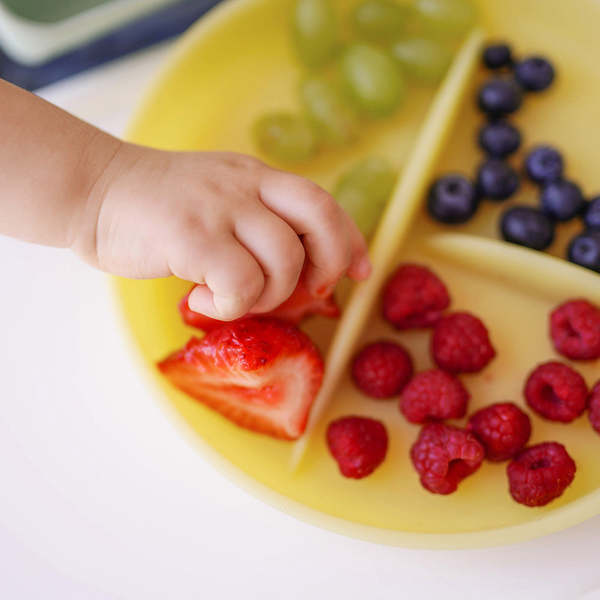 Olababy Silicone Divided Suction Plate